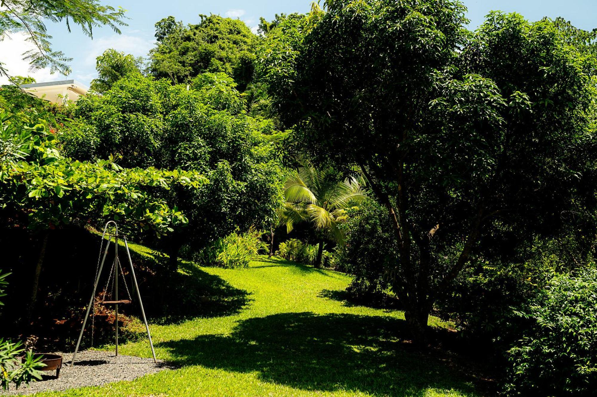 Playa Bejuco Casa Laureles住宿加早餐旅馆 外观 照片